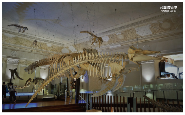 台灣博物館土銀展示館-31