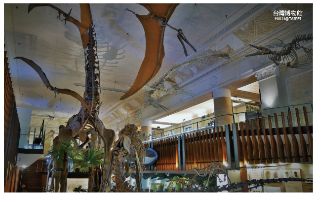 台灣博物館土銀展示館-29