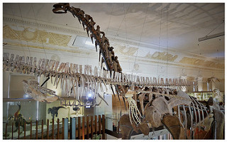 台灣博物館土銀展示館-34