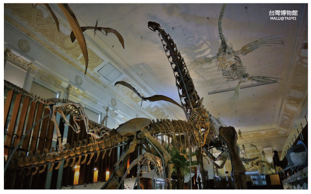 台灣博物館土銀展示館-26