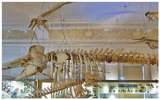 台灣博物館土銀展示館-33