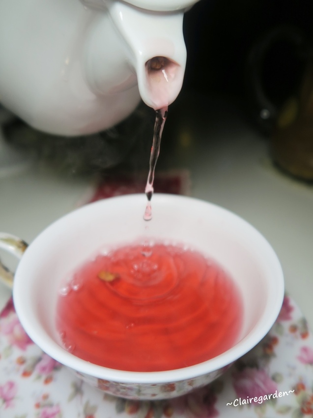 IMG_8720.JPG IMG_8720.JPG