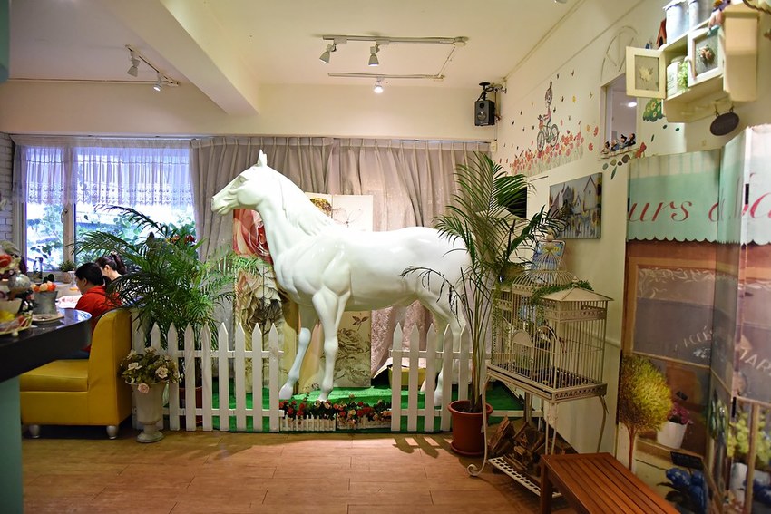 DSC_3026 -1 DSC_3026 -1