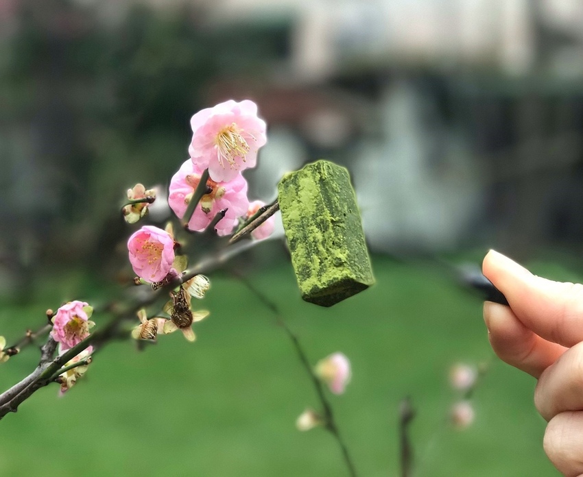 20190224 #1_190224_0014.jpg