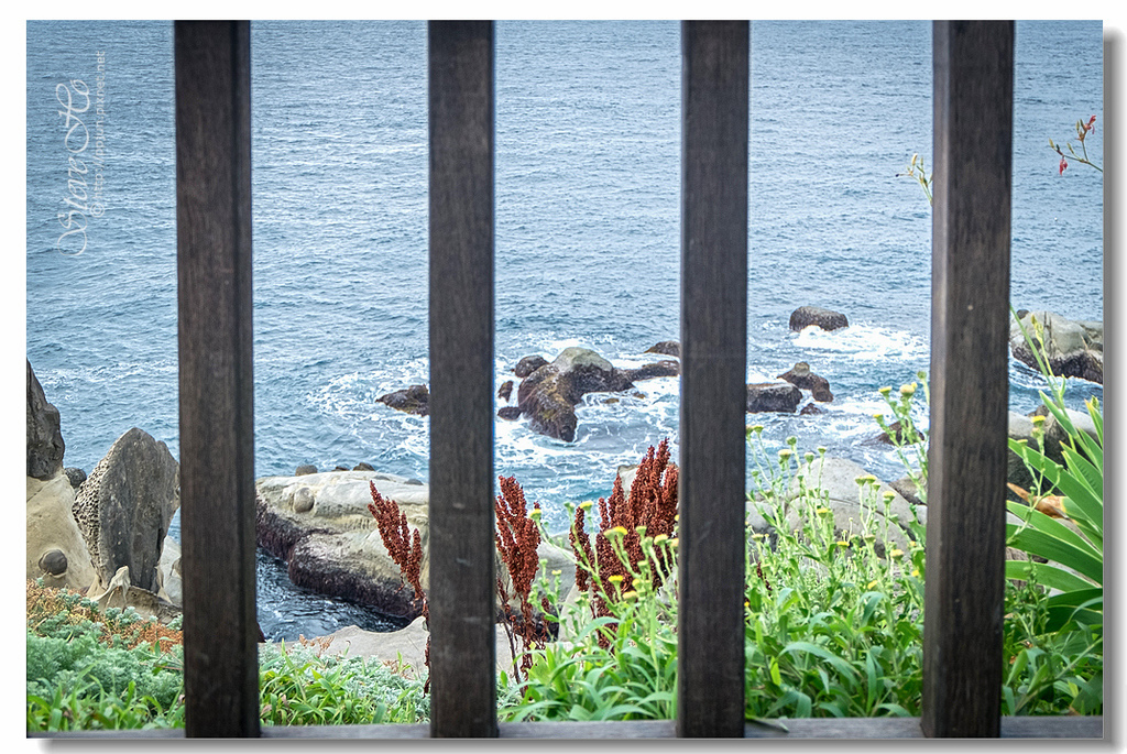 40.DSCF3320.jpg 40.DSCF3320.jpg