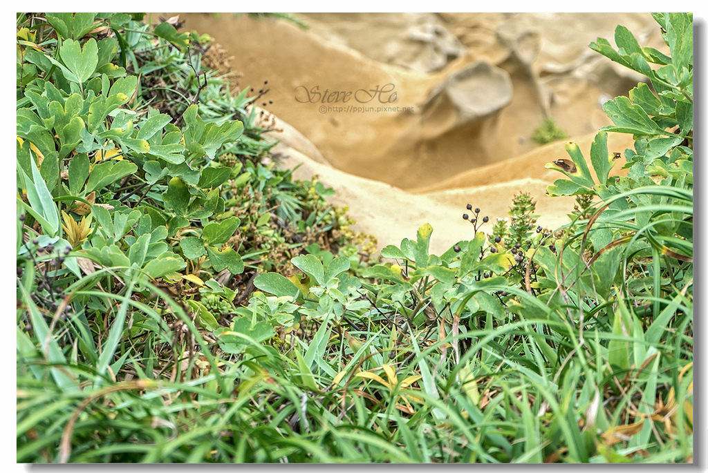 34.DSCF3274.jpg 34.DSCF3274.jpg