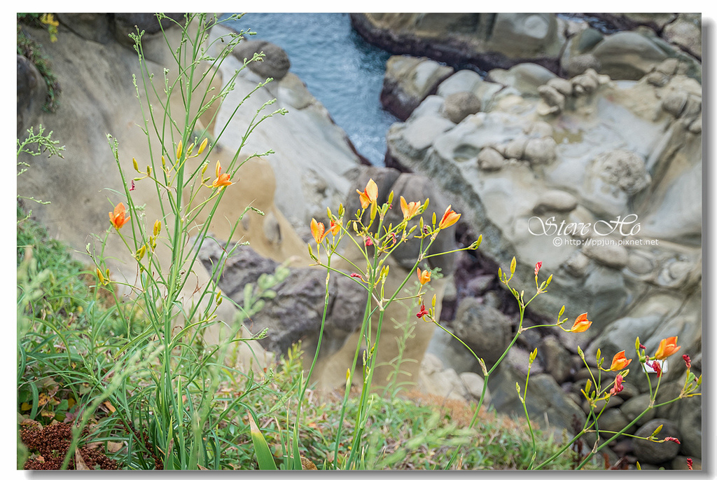 36.DSCF3299.jpg 36.DSCF3299.jpg