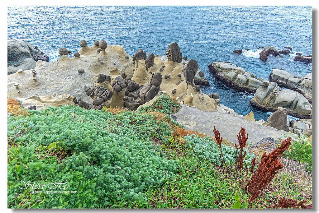 39.DSCF3312.jpg 39.DSCF3312.jpg