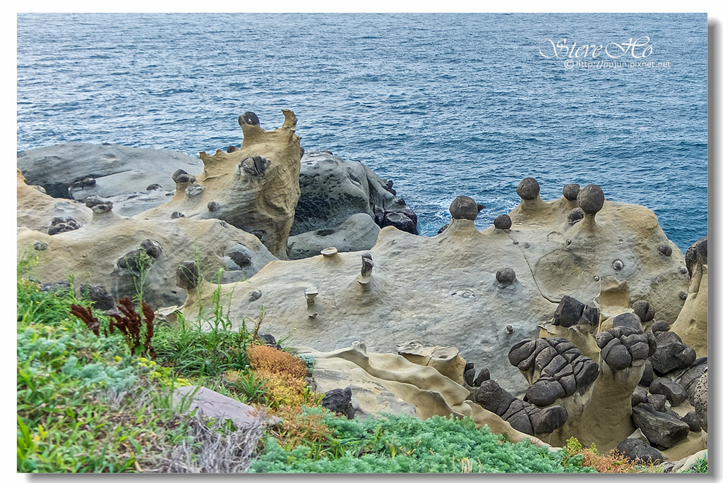 22.DSCF3314.jpg 22.DSCF3314.jpg