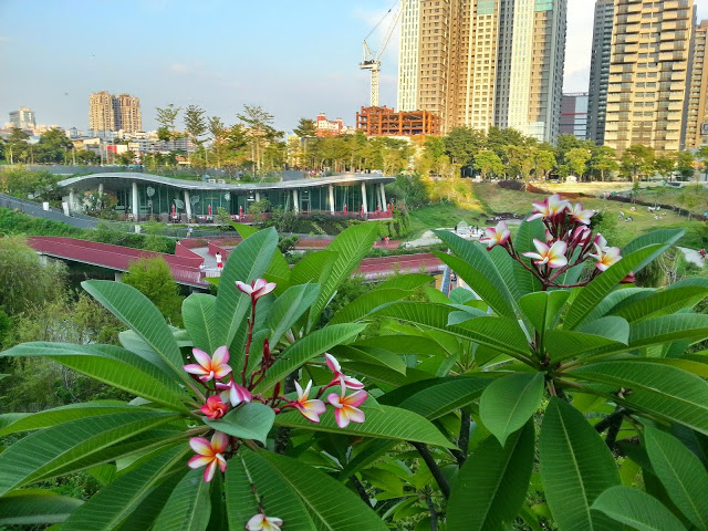 【台中】秋紅谷廣場.白天和夜晚交替著悠閒美好的情懷