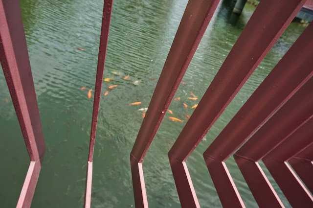 【台中】秋紅谷廣場.白天和夜晚交替著悠閒美好的情懷