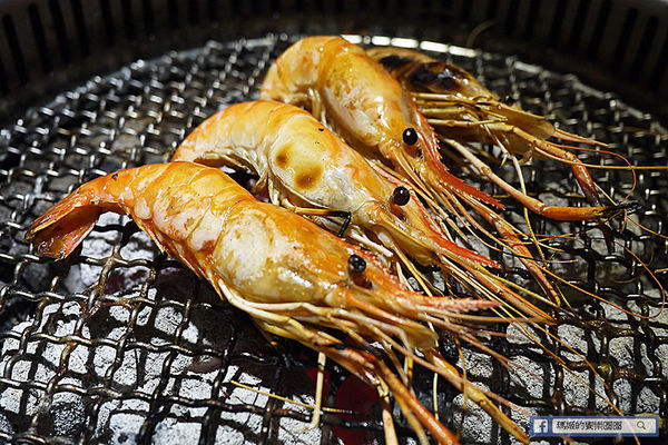 台北東區【好客燒烤酒吧-台北忠孝店】658&888火烤吃到飽！東區燒烤酒吧。火鍋。燒烤吃到飽。捷運忠孝復興美食