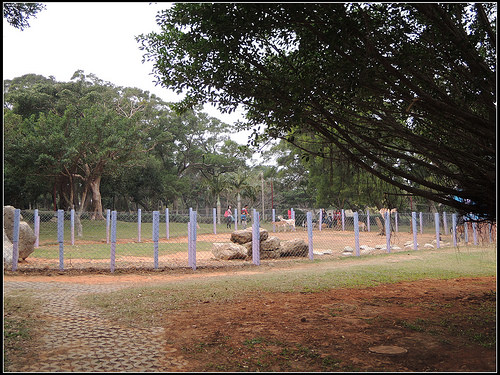《幸福行》小叮噹科學主題樂園(北海道滑雪場)初體驗
