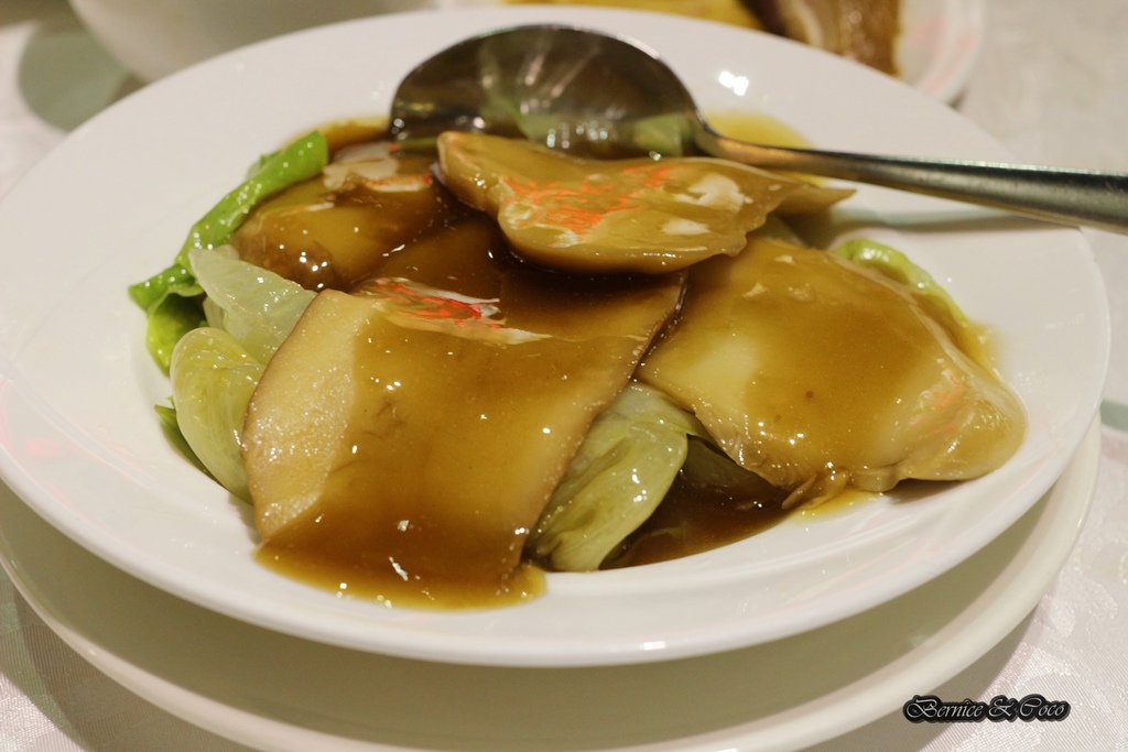 IMG_9928.JPG IMG_9928.JPG