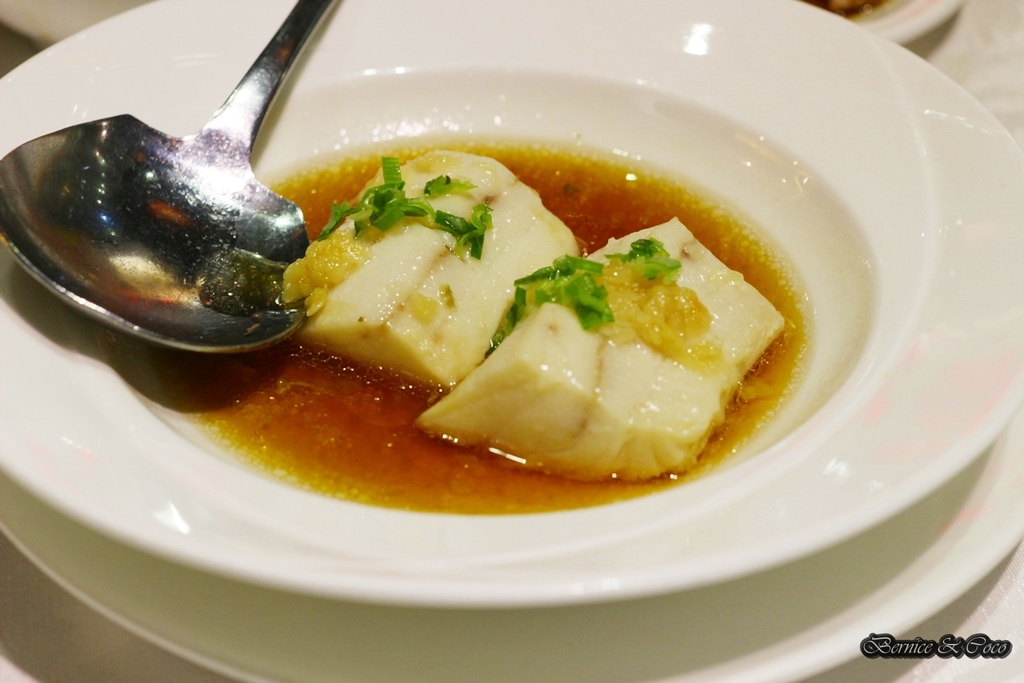 IMG_9926.JPG IMG_9926.JPG