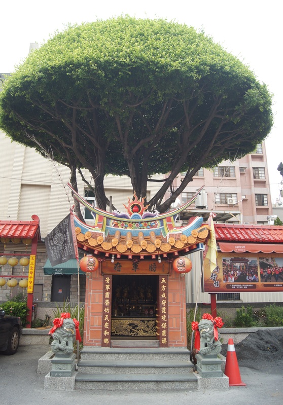 桃城好好玩 嘉義一日遊,天后宮、檜意森活村、蘭潭夕陽好風光