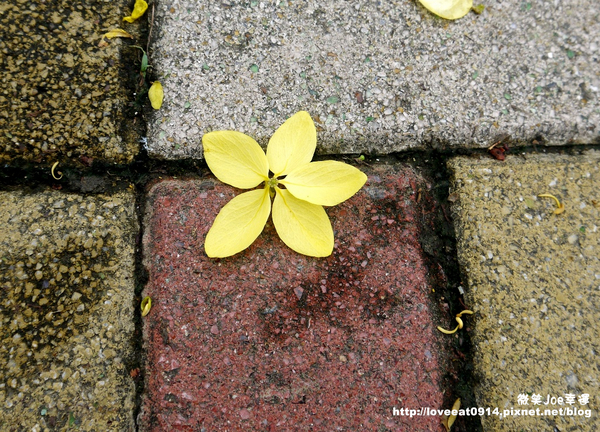 檜意森活村：[嘉義東區]檜意森活村!好好拍的地方~