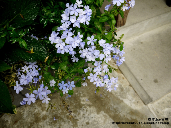 檜意森活村：[嘉義東區]檜意森活村!好好拍的地方~
