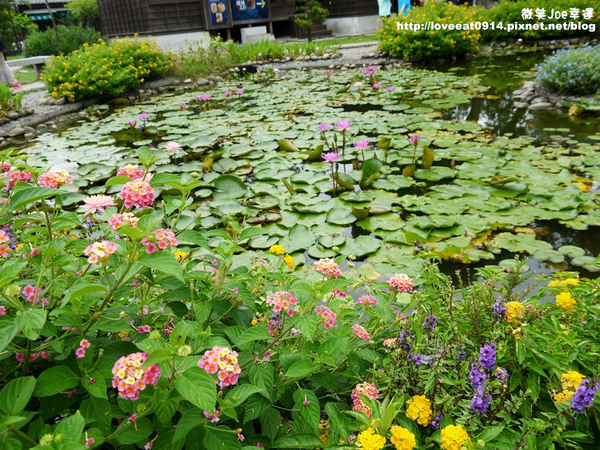 檜意森活村：[嘉義東區]檜意森活村!好好拍的地方~