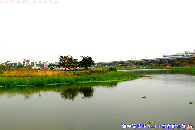 【台南▍親子景點】南科迎曦湖♥好一條巨大的黃金蟒!!在水面上穿梭自如~