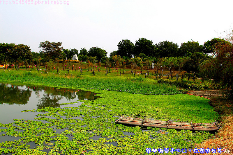 【台南▍親子景點】南科迎曦湖♥好一條巨大的黃金蟒!!在水面上穿梭自如~