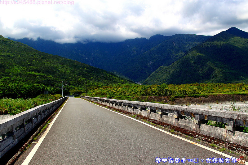 【花蓮旅遊】大農大富平地森林園區♥花蓮版的伯朗大道,讓人驚呼連連的美景
