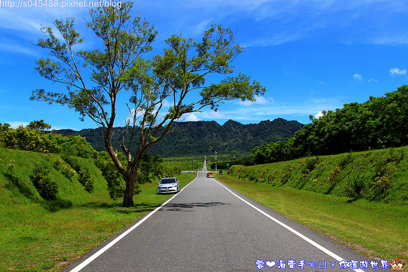 【花蓮旅遊】大農大富平地森林園區♥花蓮版的伯朗大道,讓人驚呼連連的美景