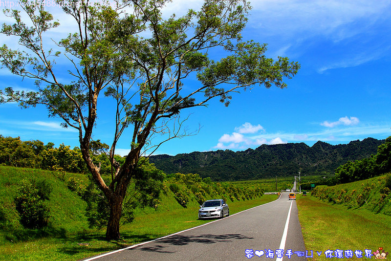 【花蓮旅遊】大農大富平地森林園區♥花蓮版的伯朗大道,讓人驚呼連連的美景