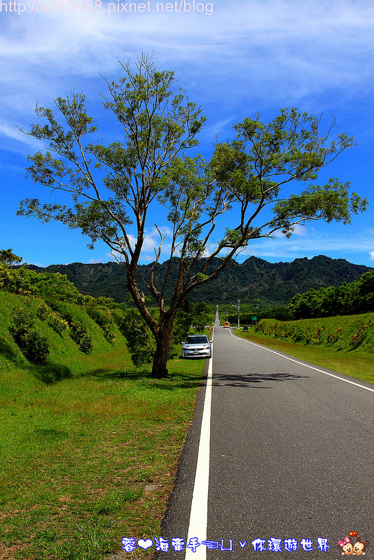 【花蓮旅遊】大農大富平地森林園區♥花蓮版的伯朗大道,讓人驚呼連連的美景