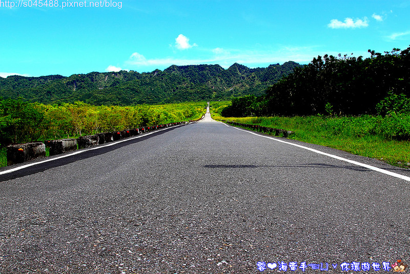 【花蓮旅遊】大農大富平地森林園區♥花蓮版的伯朗大道,讓人驚呼連連的美景
