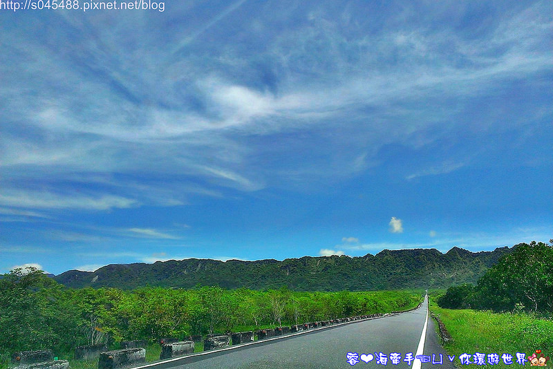 【花蓮旅遊】大農大富平地森林園區♥花蓮版的伯朗大道,讓人驚呼連連的美景