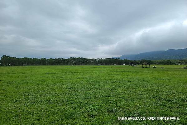 【花蓮/光復】大農大富平地森林園區