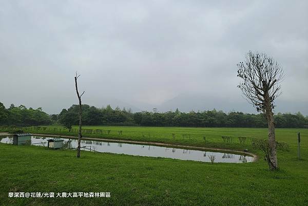【花蓮/光復】大農大富平地森林園區