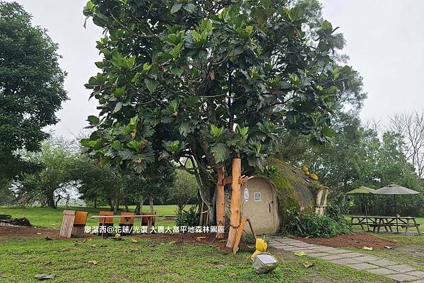 【花蓮/光復】大農大富平地森林園區