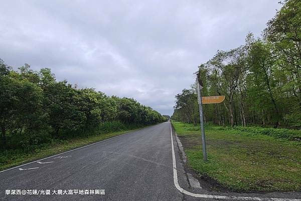 【花蓮/光復】大農大富平地森林園區