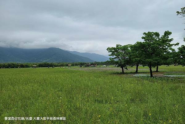 【花蓮/光復】大農大富平地森林園區