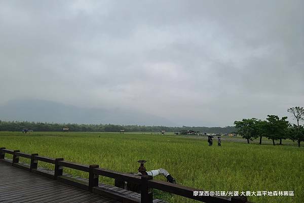 【花蓮/光復】大農大富平地森林園區