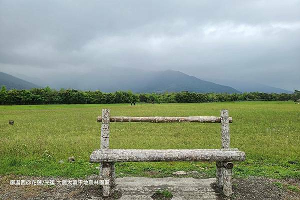 【花蓮/光復】大農大富平地森林園區
