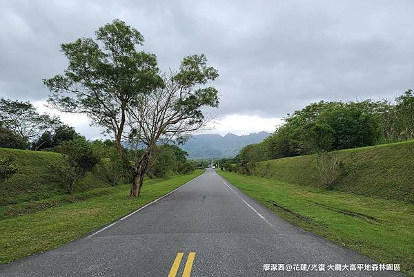 【花蓮/光復】大農大富平地森林園區