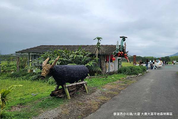 【花蓮/光復】大農大富平地森林園區