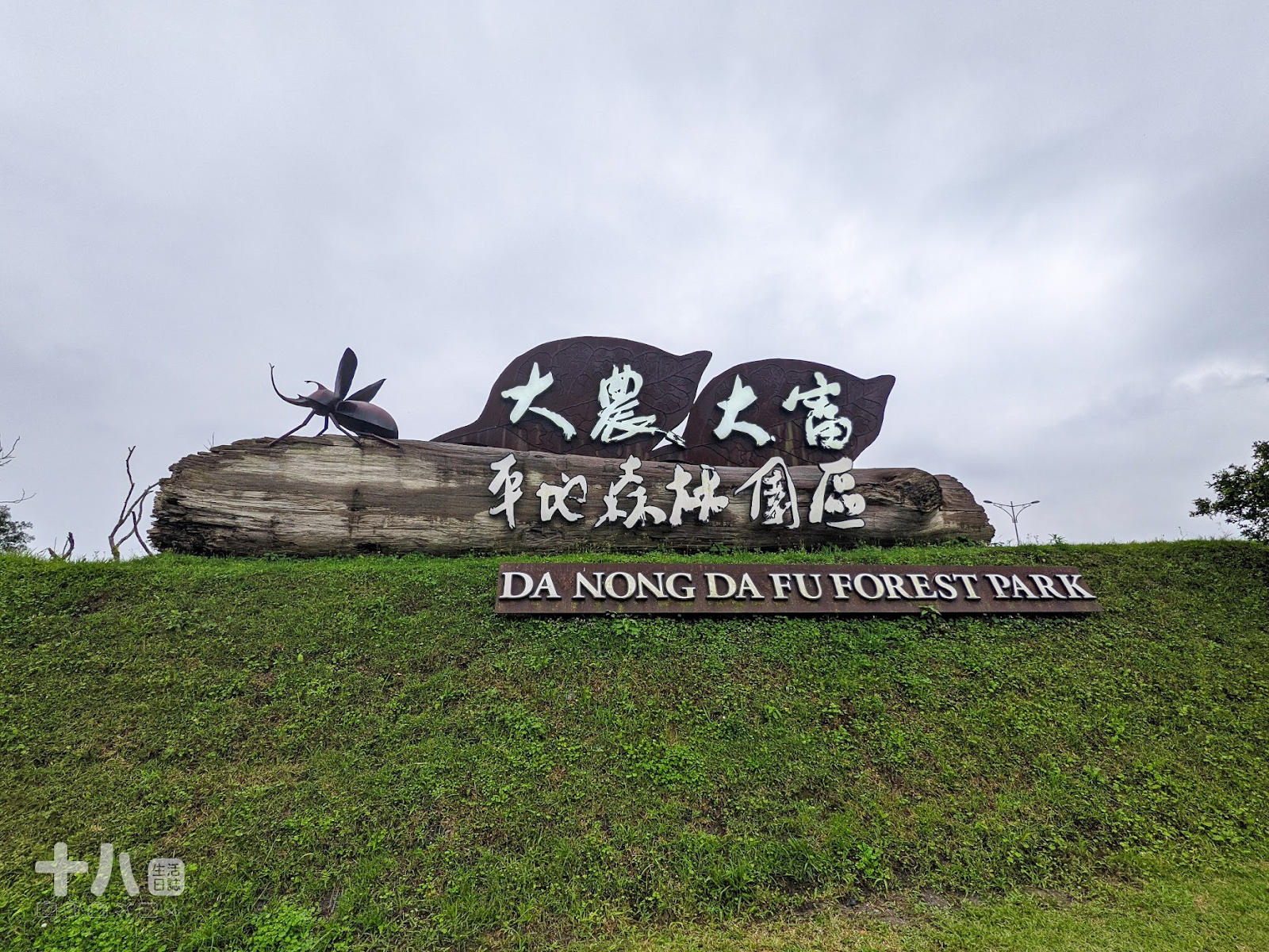 【花蓮旅遊】大農大富 螢漫平森｜2021全台最早賞螢趣，走入森林與螢火蟲一起翩翩起舞吧！ | 十八Team｜八年級生的吃喝玩樂日誌