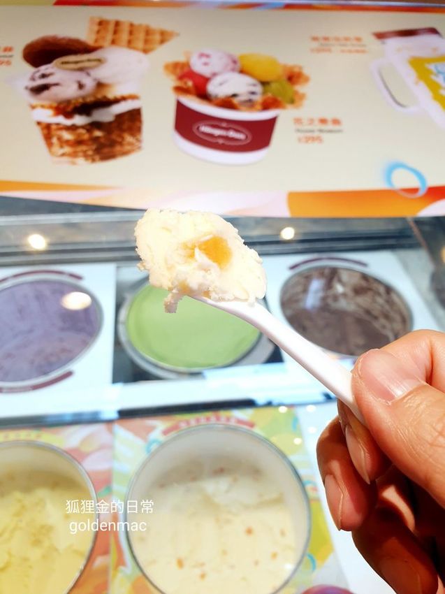 Häagen-Dazs_狐狸金的日常_200624_0042.jpg