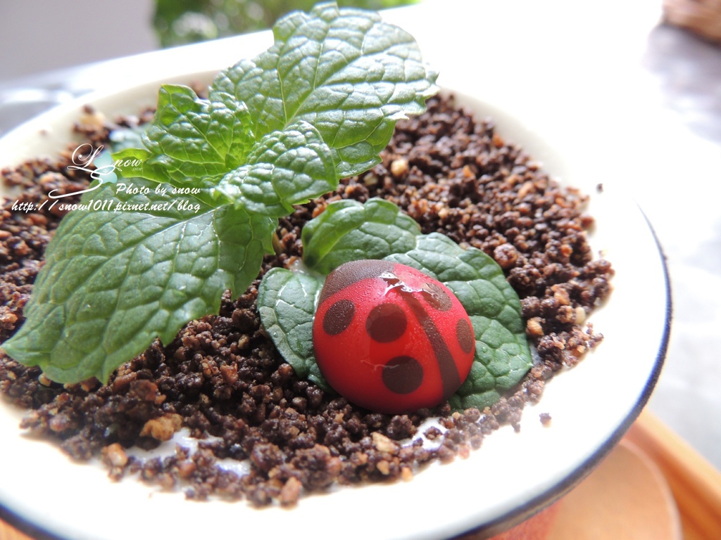 DSCN7608-01.JPG DSCN7608-01.JPG