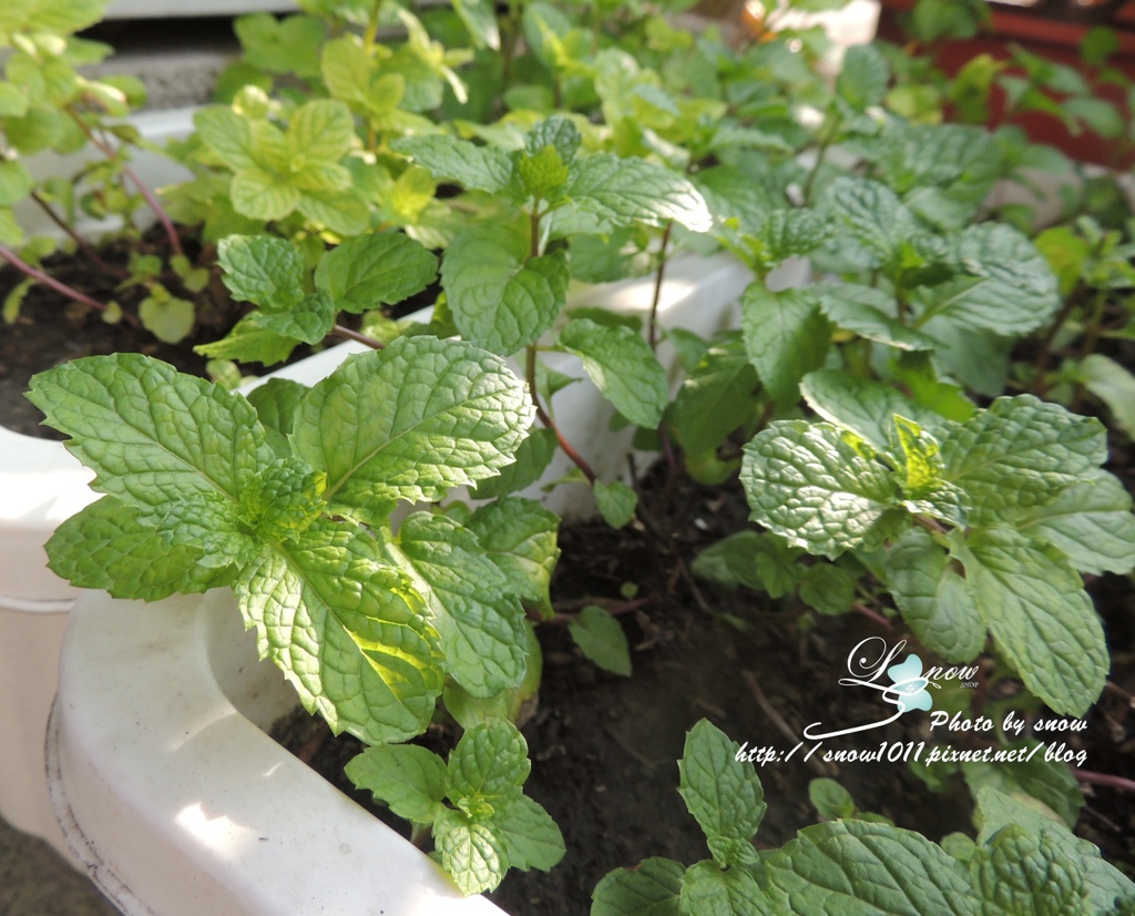 DSCN7643-01.JPG DSCN7643-01.JPG