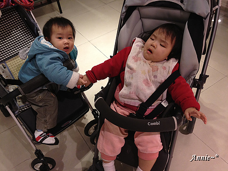 【挑剔味蕾】宜蘭。聚。北海道昆布鍋(新月店)