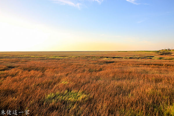 IMG_0267.jpg IMG_0267.jpg