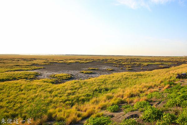 IMG_0236.jpg IMG_0236.jpg