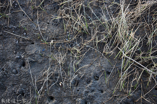 IMG_0269.jpg IMG_0269.jpg