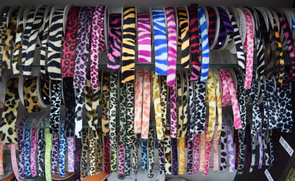 DSC_1495.JPG DSC_1495.JPG