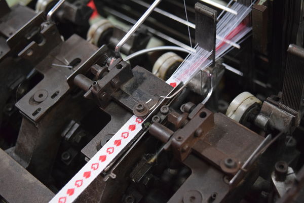 DSC_1556.JPG DSC_1556.JPG